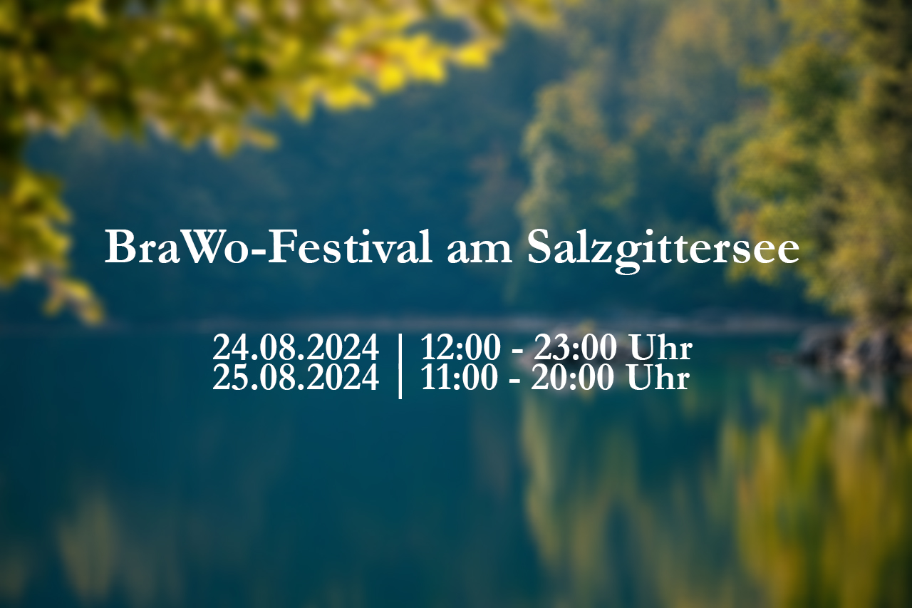 BraWo-Seefestival: Ein kulturelles Fest am Salzgittersee